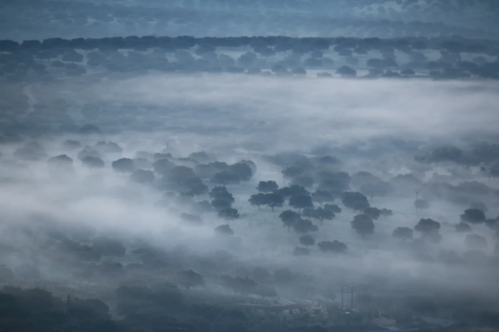 Niebla sobre el bosque mediterráneo de Monfragüe