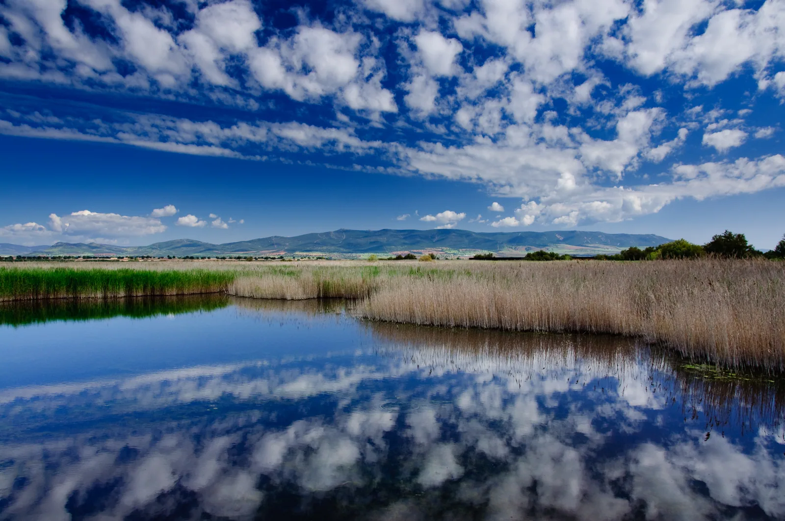 Nubes reflejadas en el agua de las Tablas de Daimiel