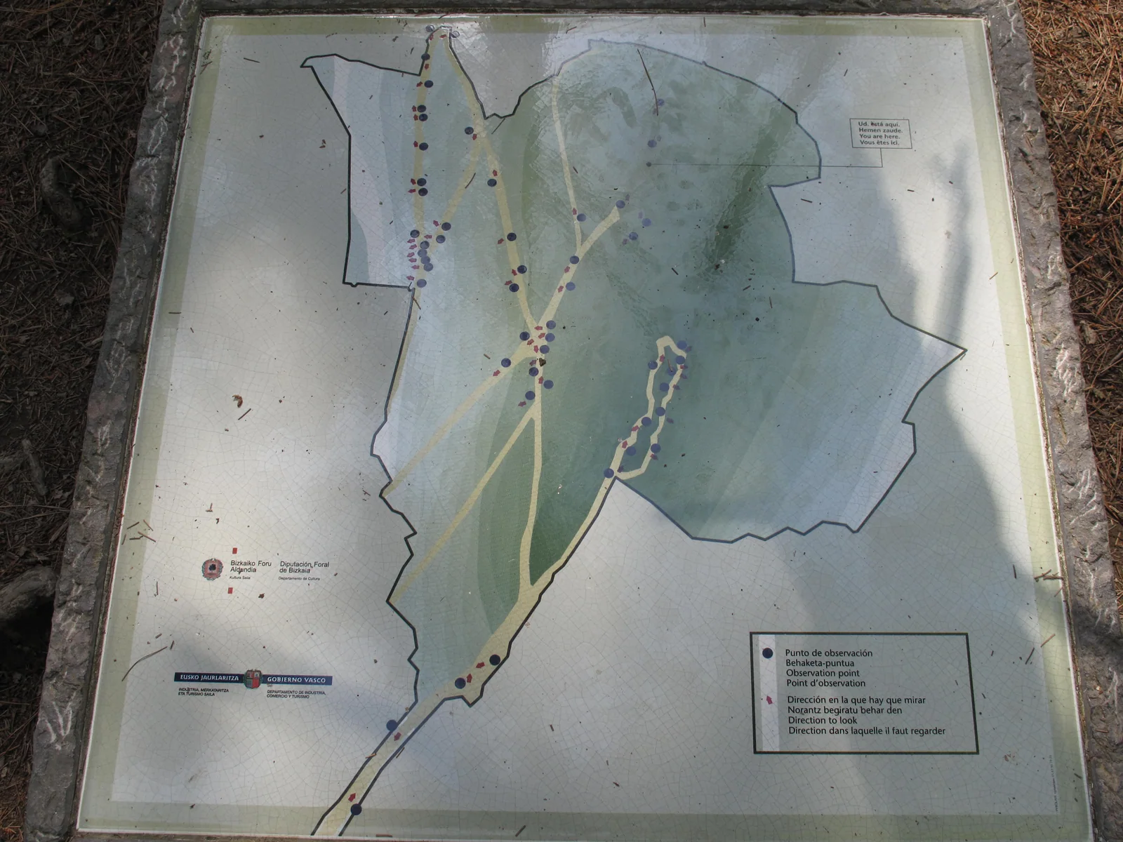 Panel de pinos pintados del Bosque de Oma visto desde la perspectiva que compone la figura, obra de land art de Ibarrola en Urdaibai
