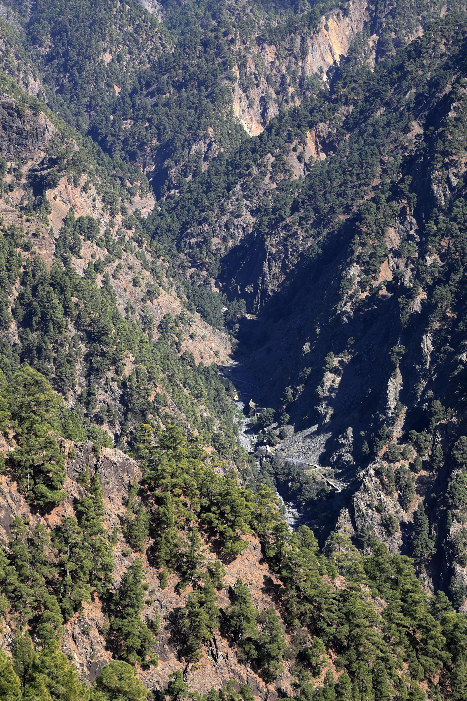 Dos Aguas, la confluencia de los barrancos de Taburiente y Almendro Amargo, donde nace el Barranco de las Angustias
