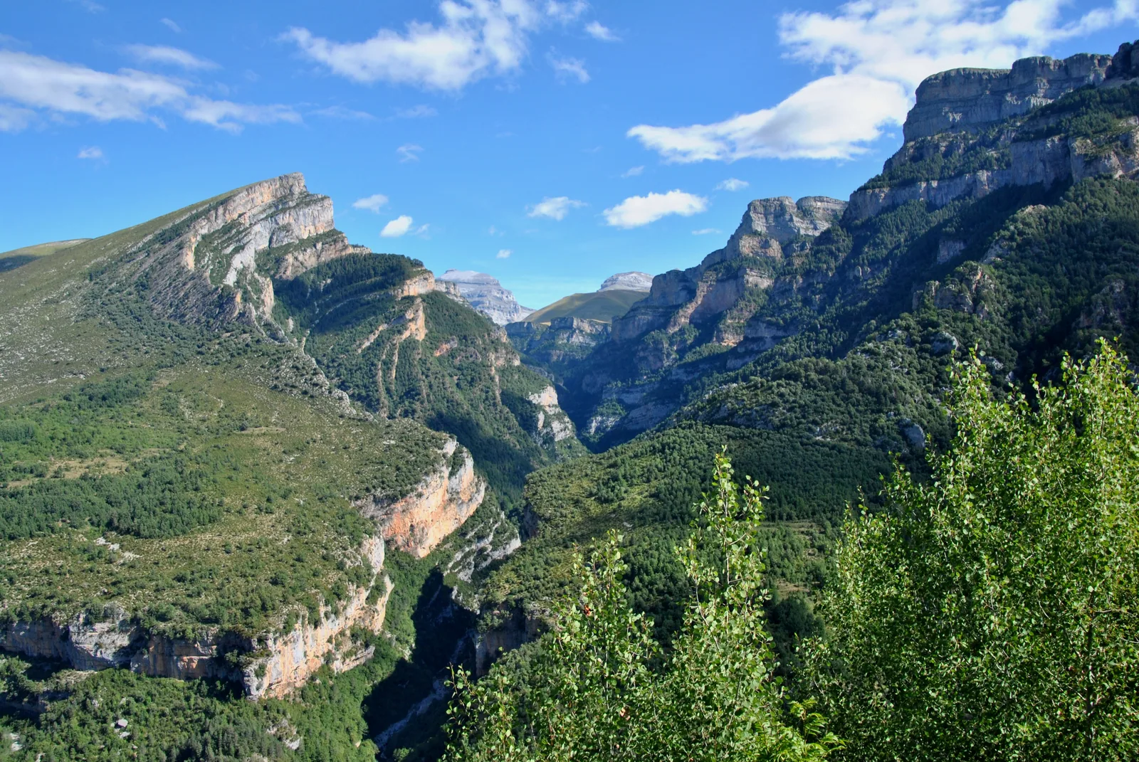 El cañón de Añisclo visto desde lo alto, en el Parque Nacional de Ordesa y Monte Perdido