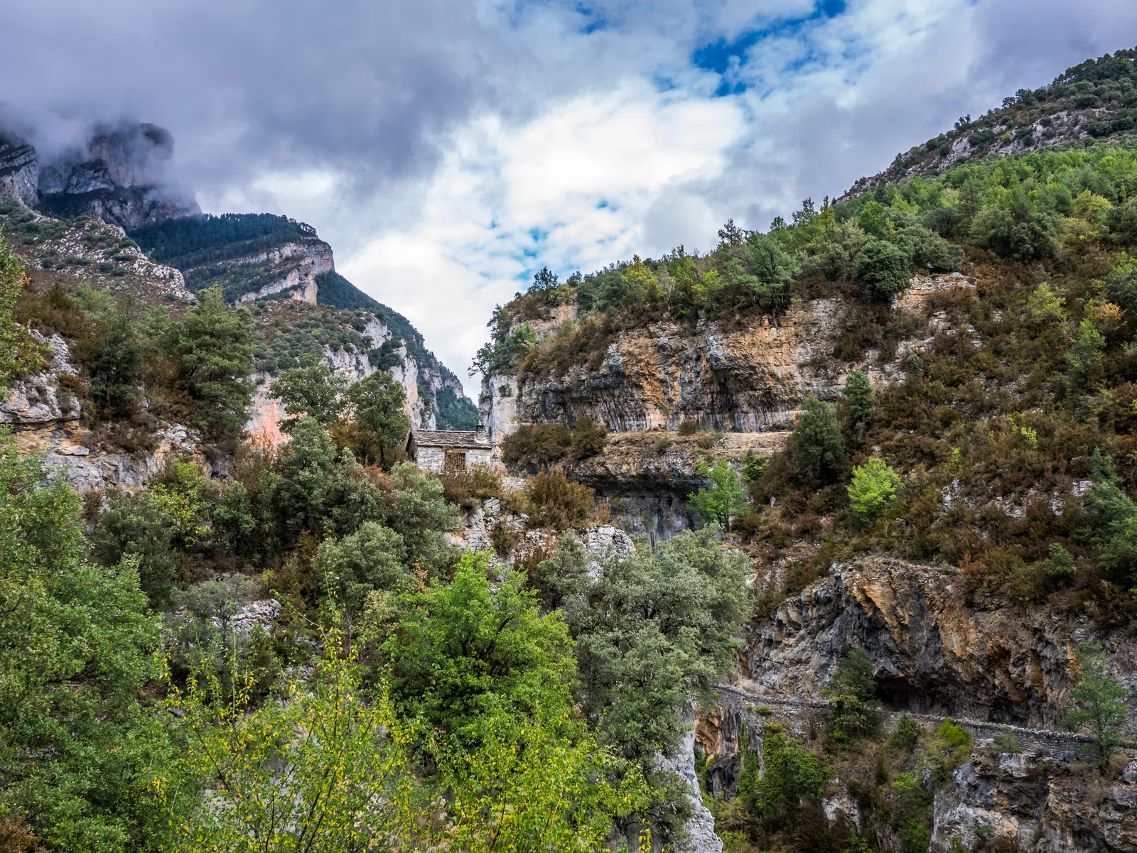 Entrada del cañón de Añisclo, entre paredes cubiertas de bosque