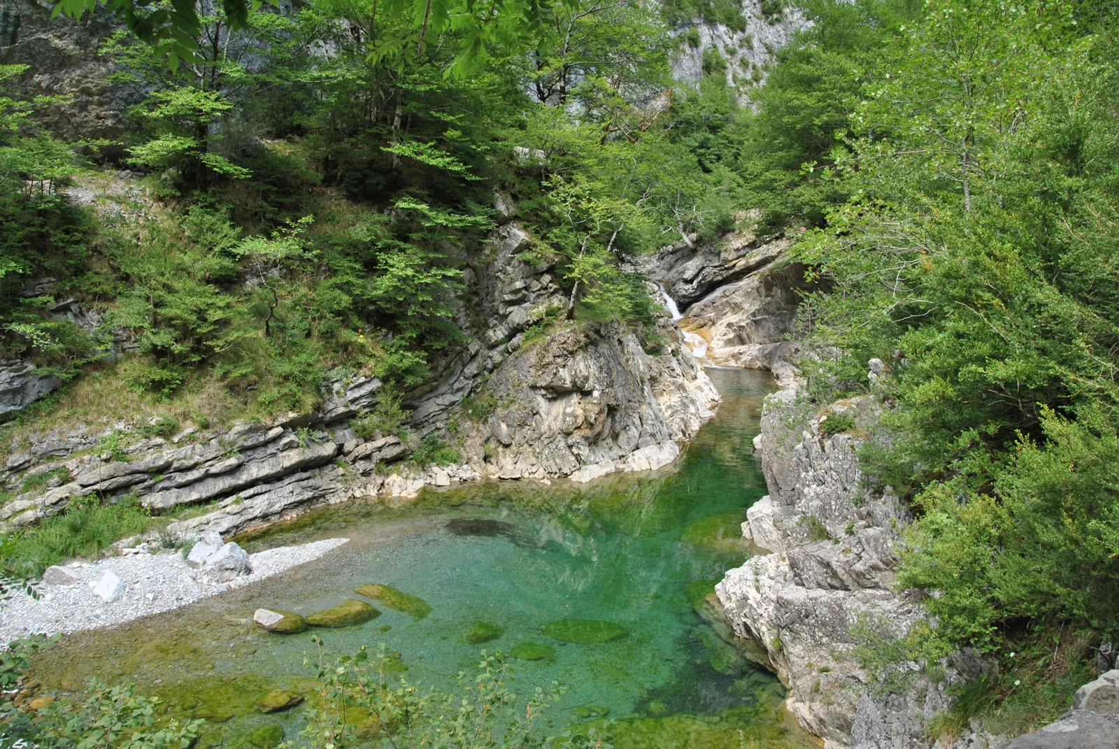 Poza de aguas verdes del río Bellós en el cañón de Añisclo