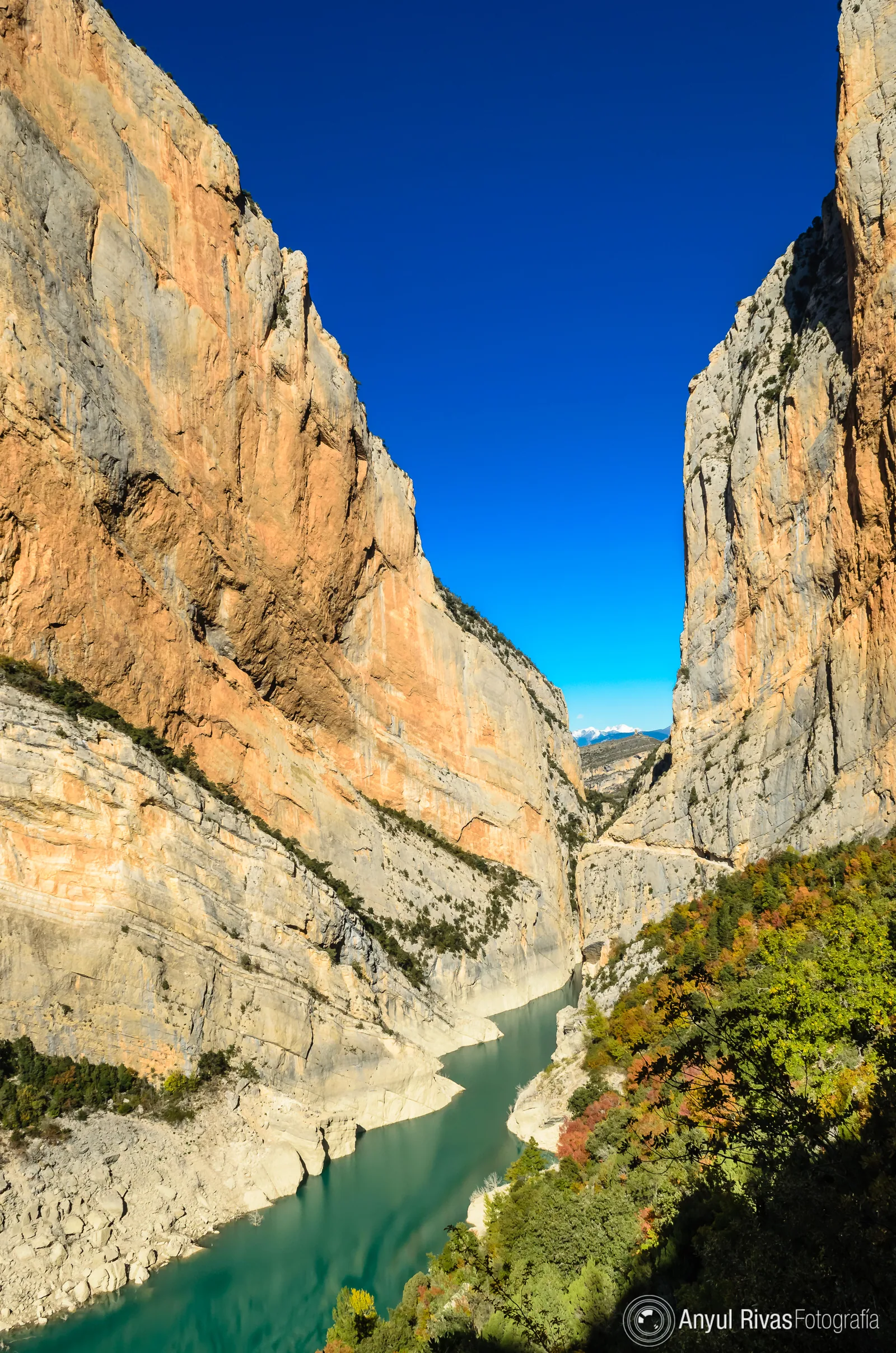Camino excavado en la roca del desfiladero de Mont-rebei con vista del cañón
