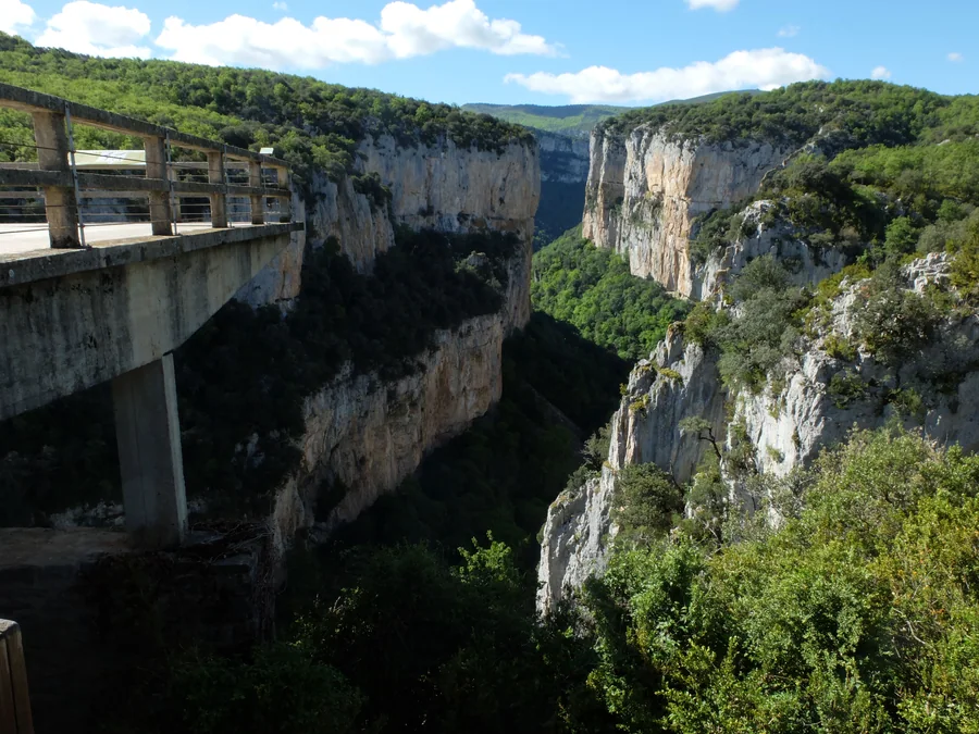 Paredes verticales de la Foz de Arbaiun, terreno de la mayor colonia de buitre leonado de Navarra