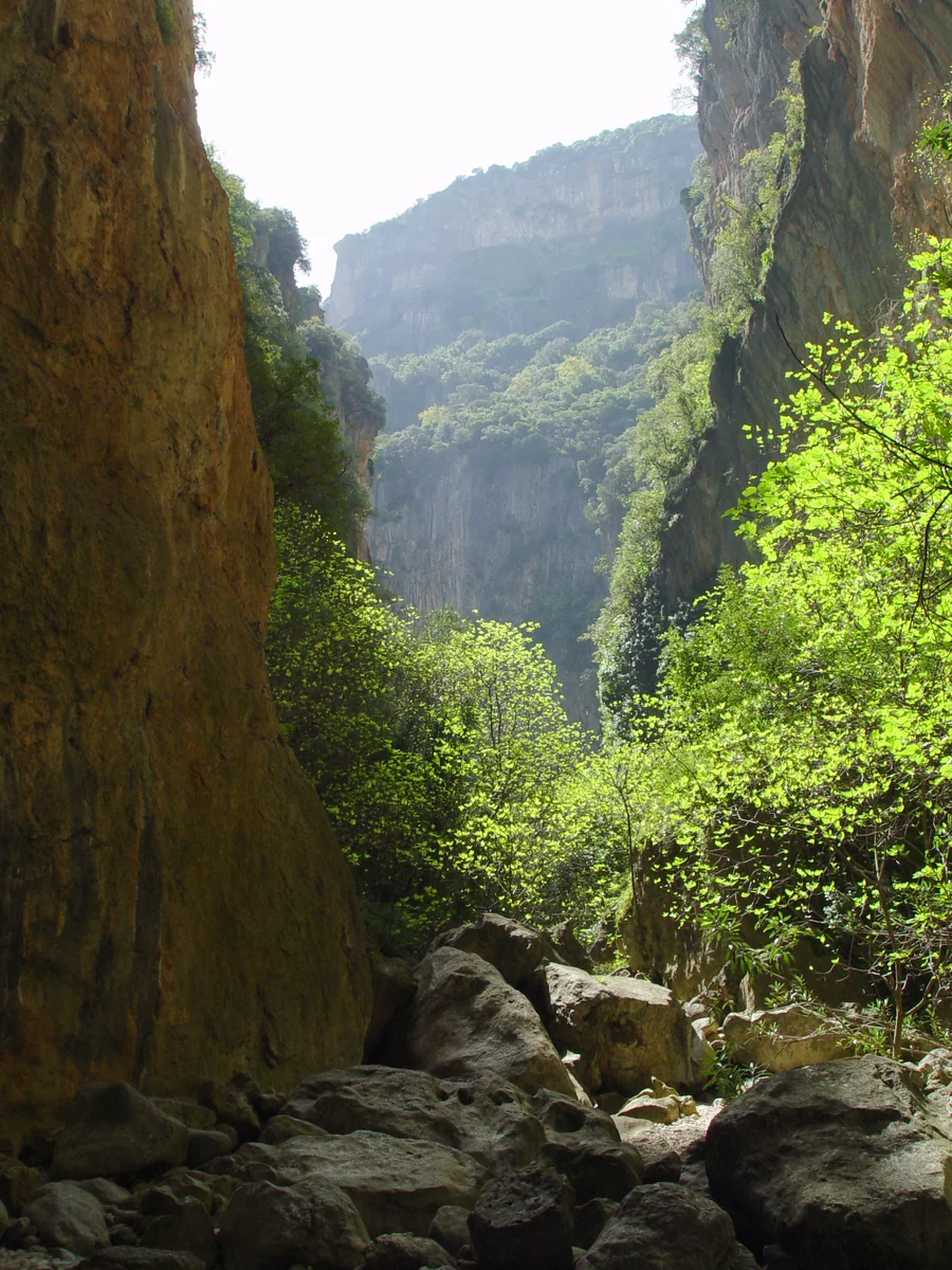 Interior del cañón de la Garganta Verde, Sierra de Grazalema