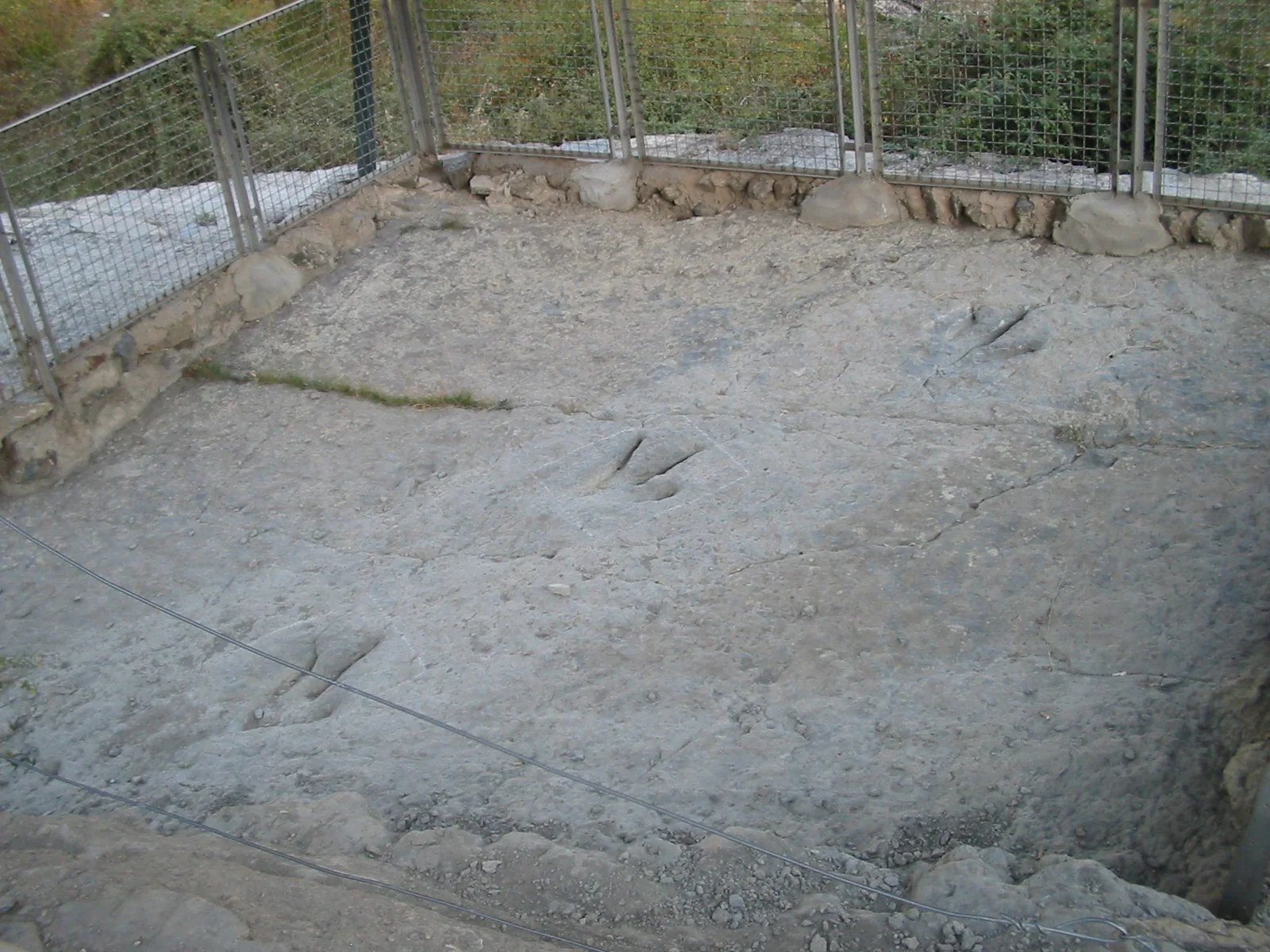 Detalle de huellas de dinosaurio en la superficie del yacimiento de Valdecevillo, Enciso