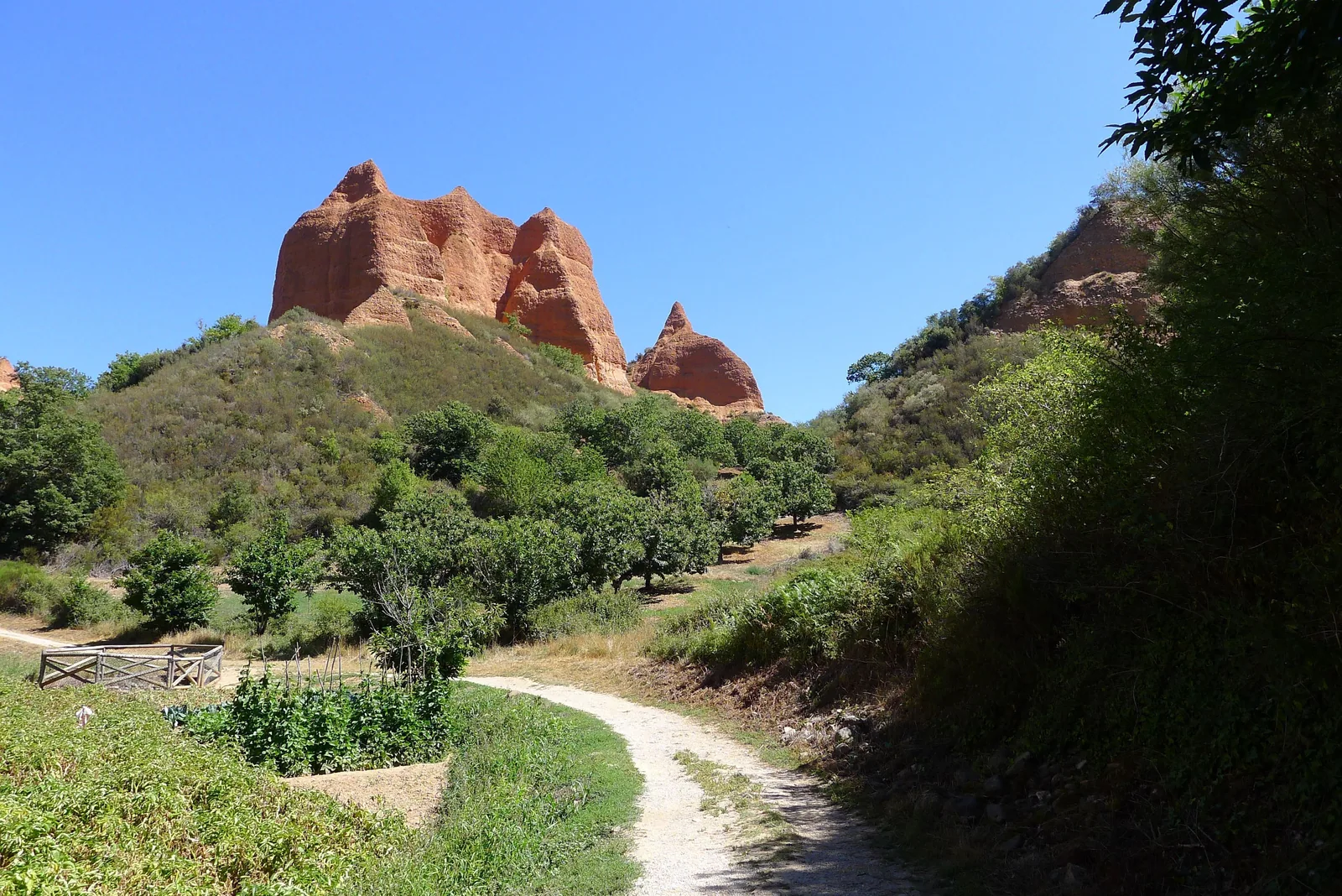 Sendero entre castaños hacia los picachos de Las Médulas
