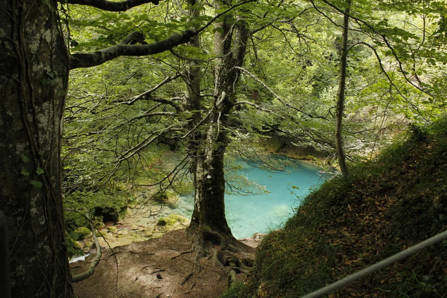 Poza turquesa del Nacedero del Urederra, Navarra