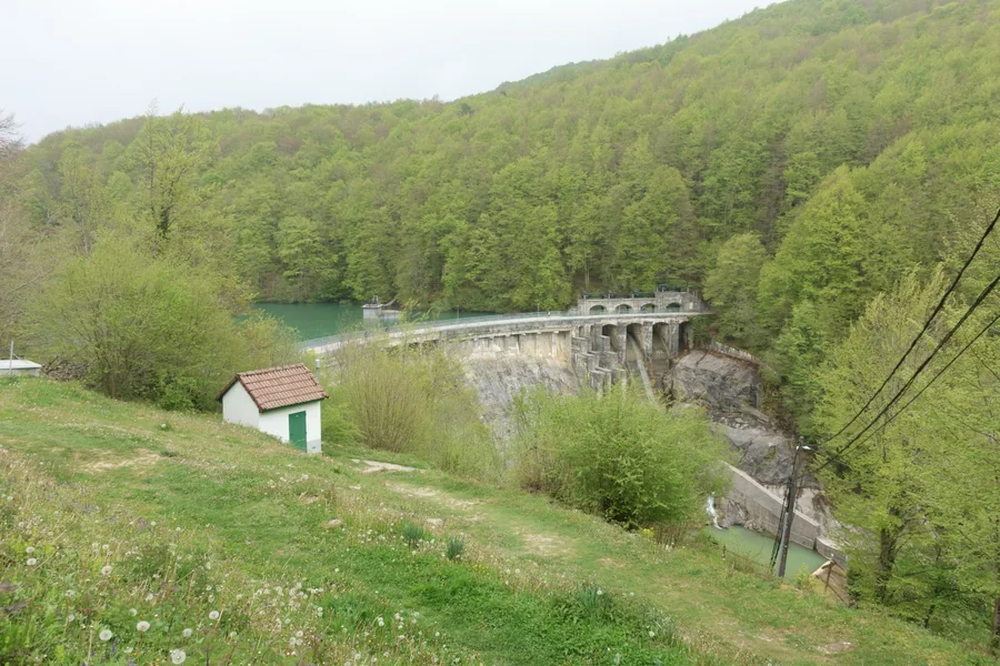 Lámina de agua del embalse de Irabia rodeada del hayedo-abetal de la Selva de Irati