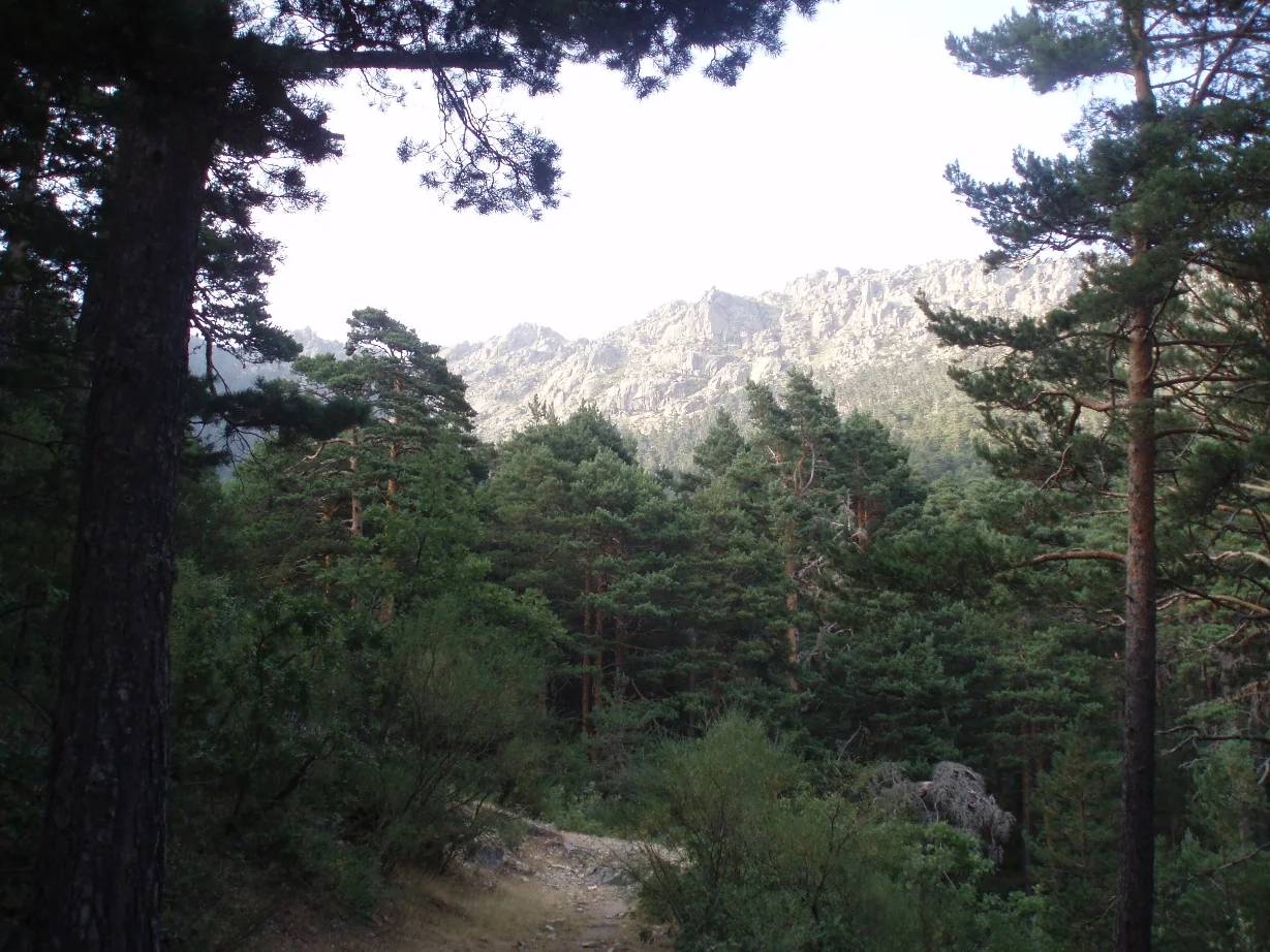 Los Siete Picos vistos desde su valle, Sierra de Guadarrama
