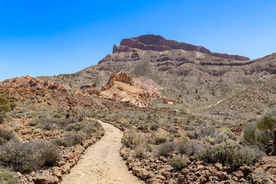 Sendero de tierra que atraviesa el llano de Las Cañadas del Teide entre retamas, con la Pared de las Cañadas y la montaña de Guajara al fondo, Parque Nacional del Teide, Tenerife